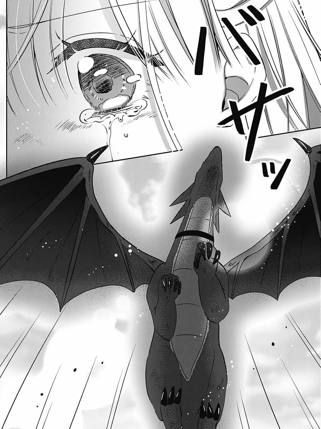 Dragon priestess in the birdcage Chapter 10 page 12 - 