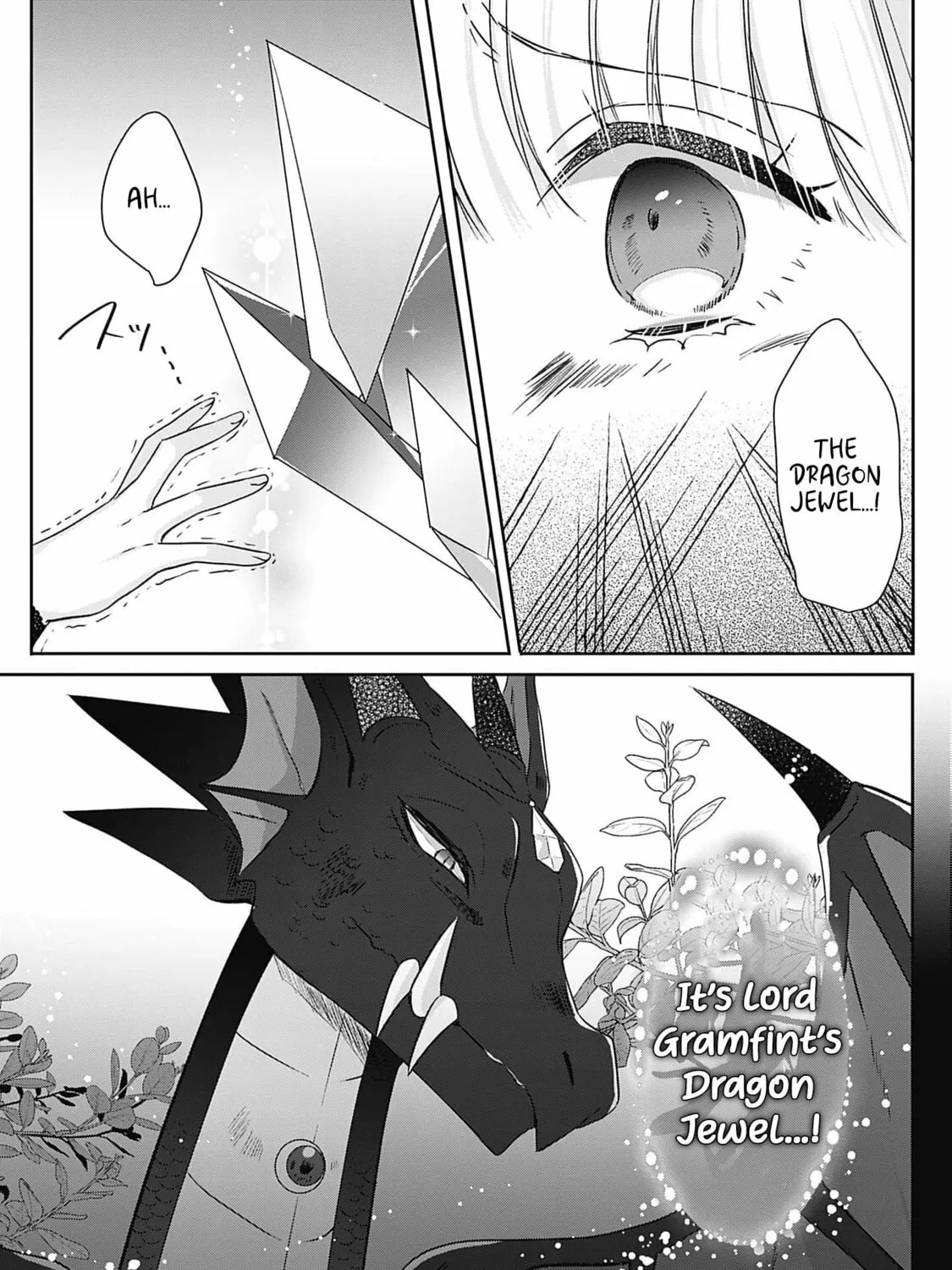 Dragon priestess in the birdcage Chapter 10 page 20 - 