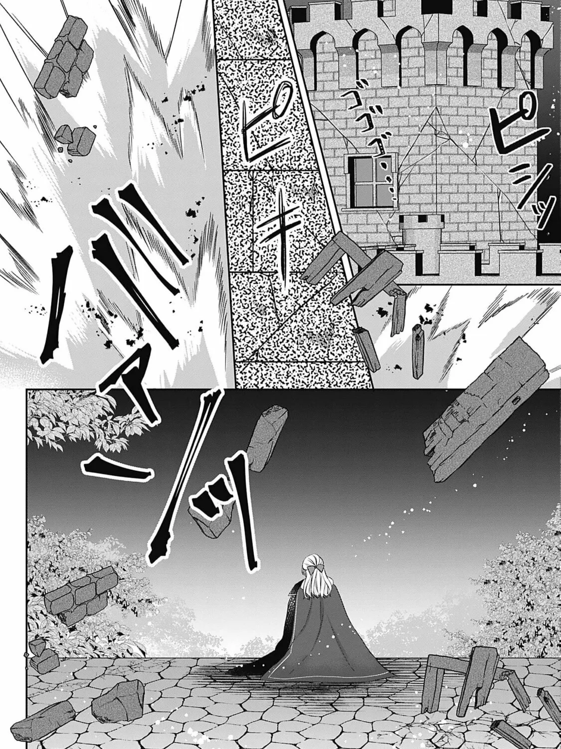 Dragon priestess in the birdcage Chapter 10 page 10 - 