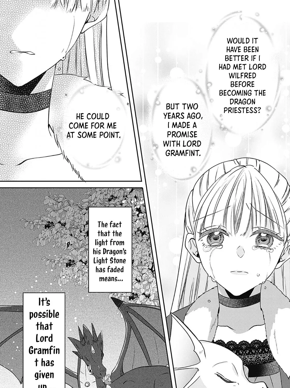 Dragon priestess in the birdcage Chapter 5 page 28 - 