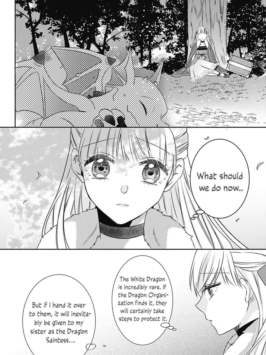 Dragon priestess in the birdcage Chapter 6 page 38 - 