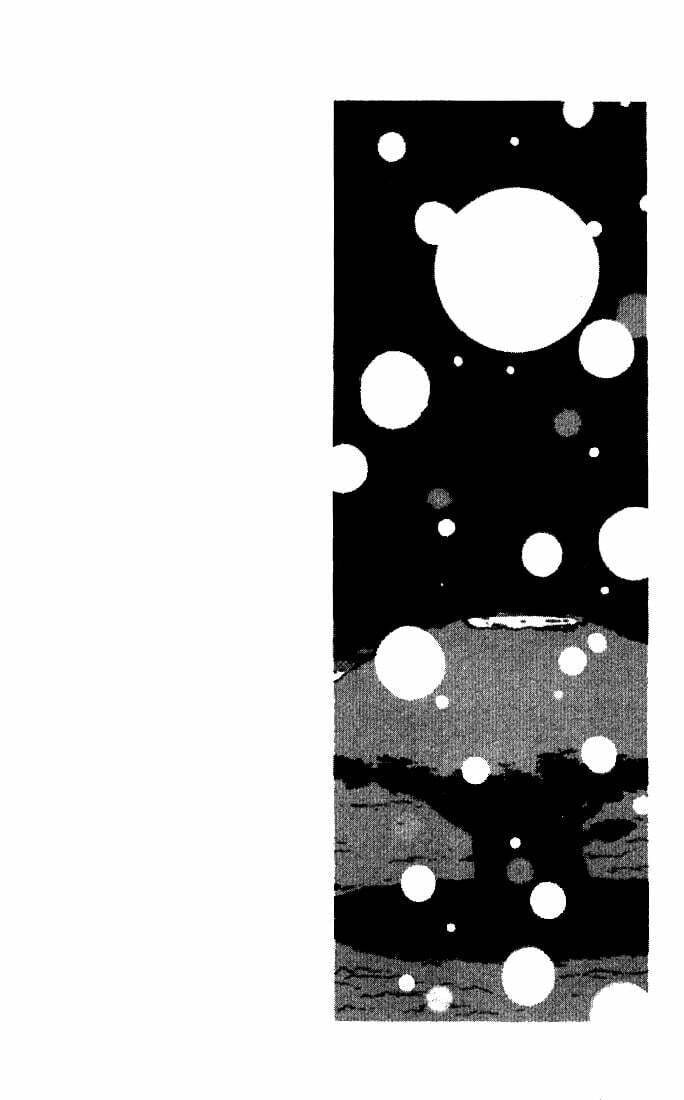Dragon Quest: Monsters+ Chapter 1 page 11 - 