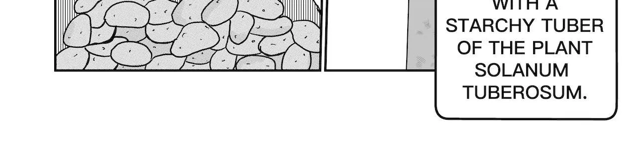 Dragon Tofu Chapter 27 page 24 - 