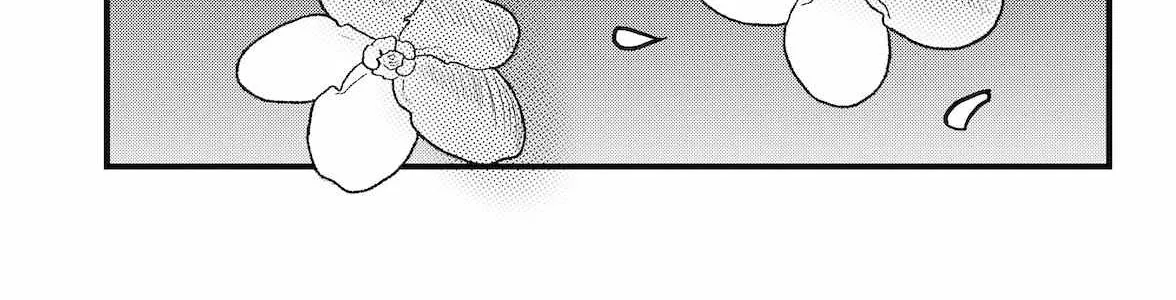 Dragon Tofu Chapter 37 page 18 - 