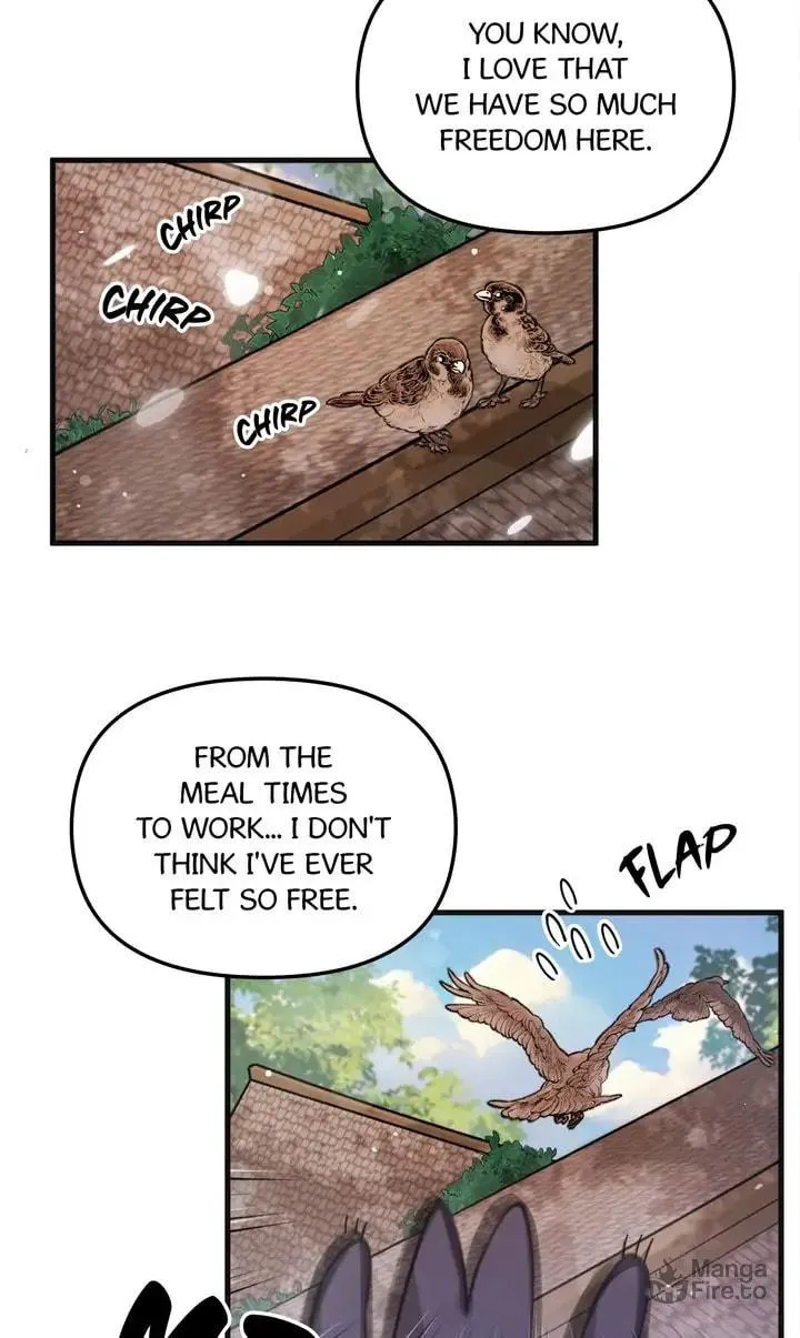 Dragondaily Chapter 11 page 54 - 