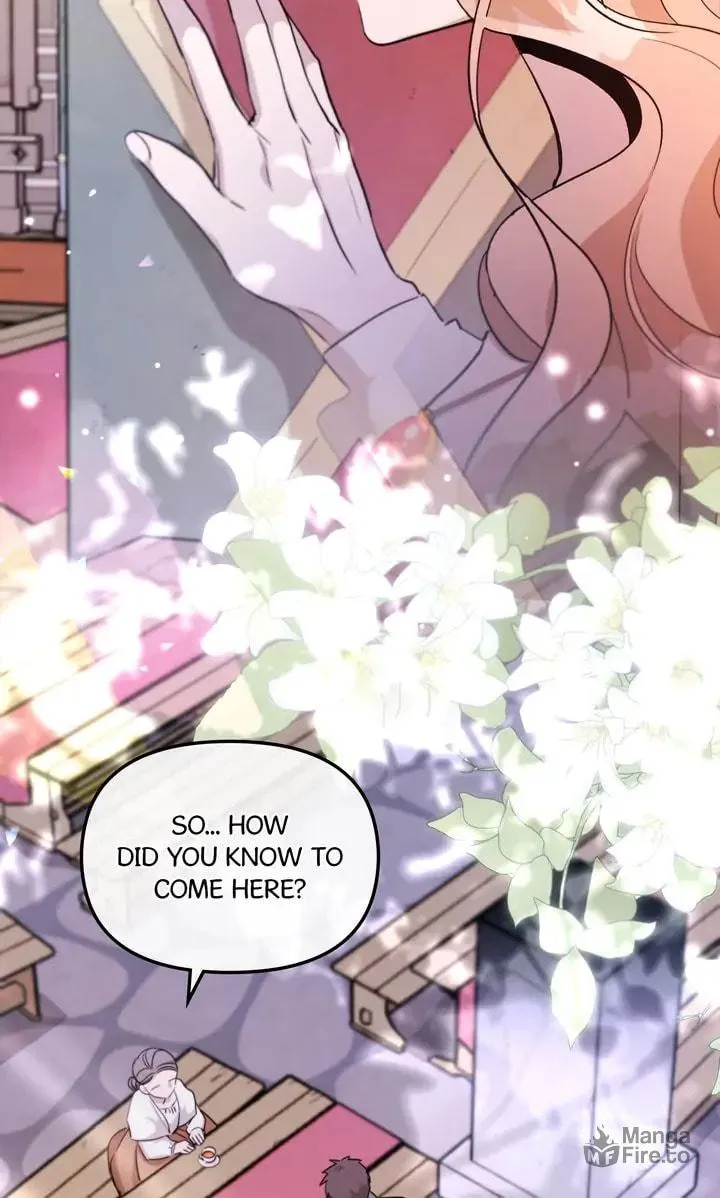 Dragondaily Chapter 31 page 5 - 