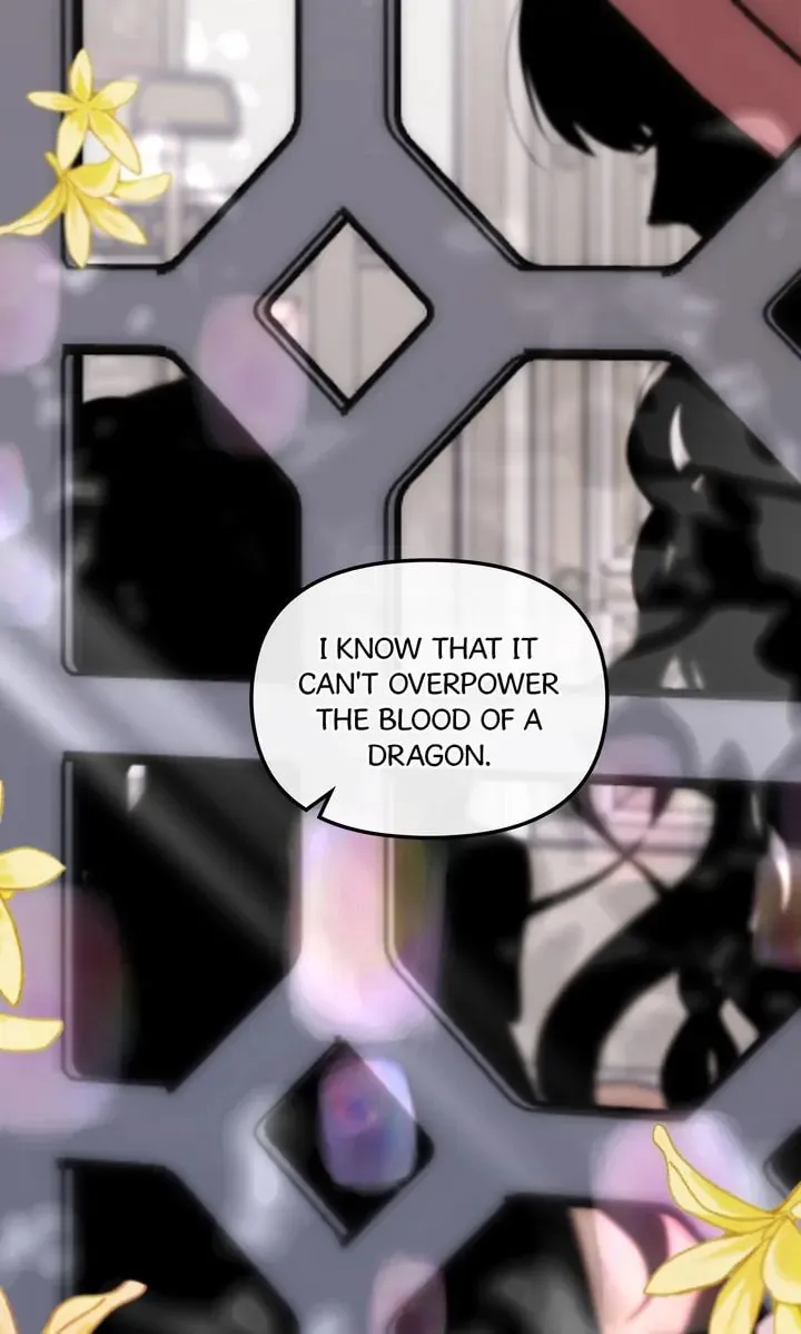 Dragondaily Chapter 40 page 41 - 