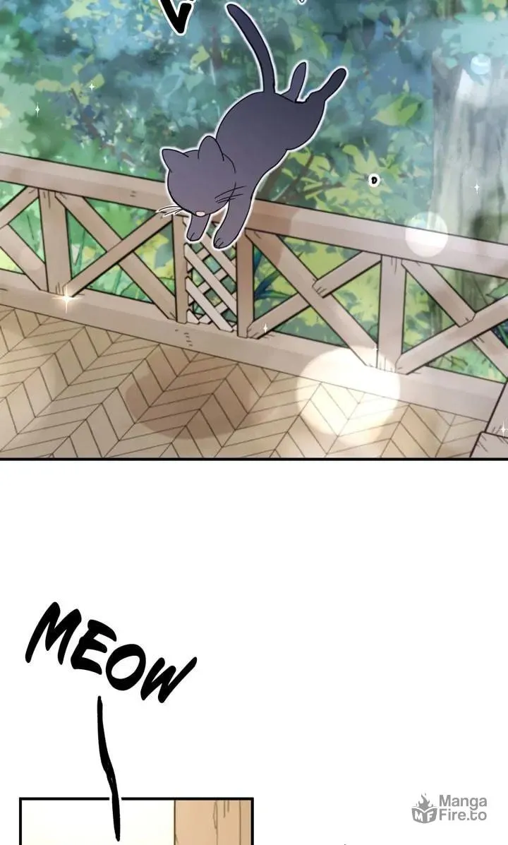 Dragondaily Chapter 42 page 36 - 