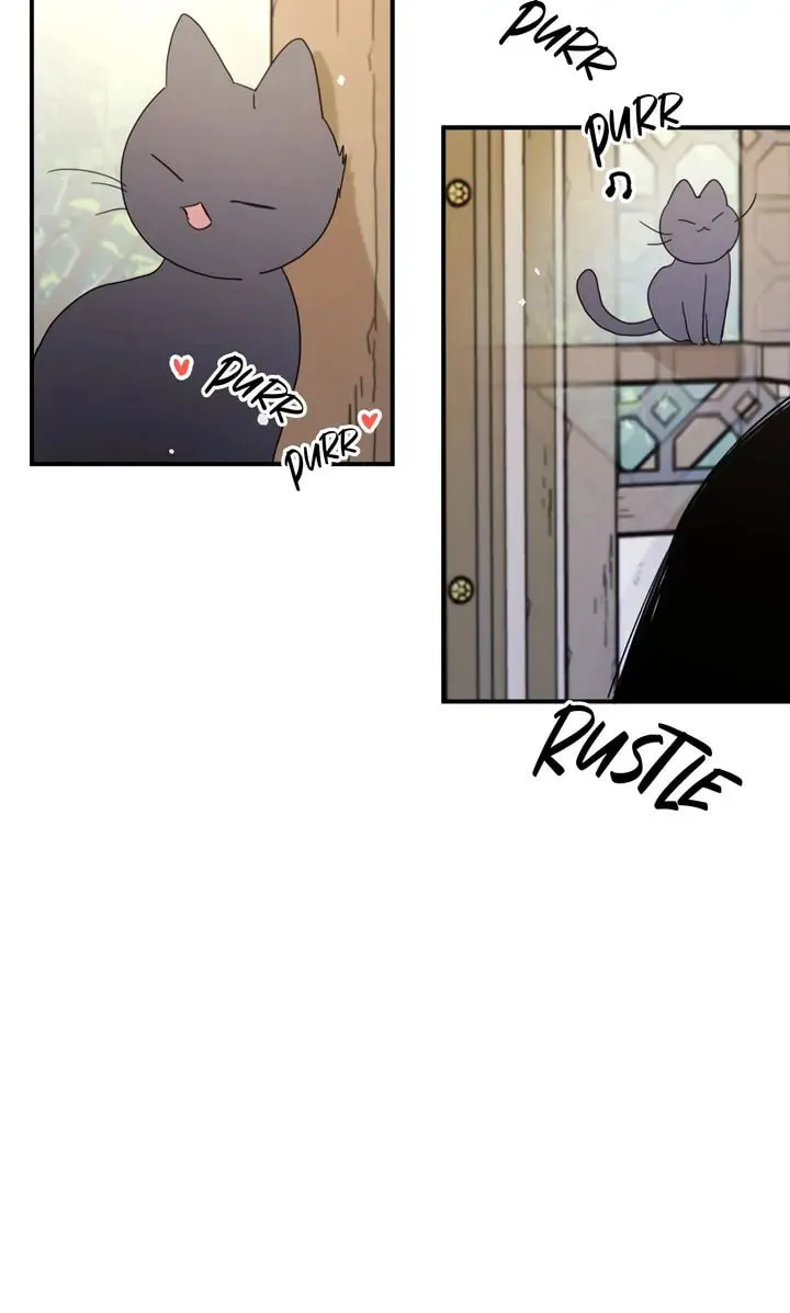 Dragondaily Chapter 42 page 37 - 