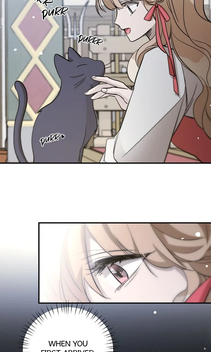 Dragondaily Chapter 71 page 50 - 