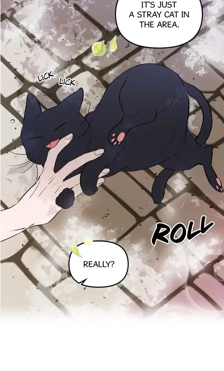 Dragondaily Chapter 8 page 23 - 