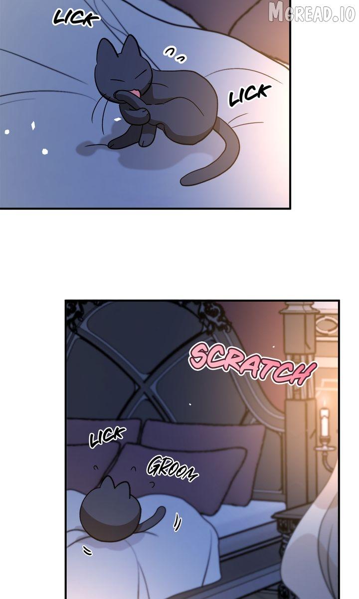 Dragondaily Chapter 87 page 64 - 