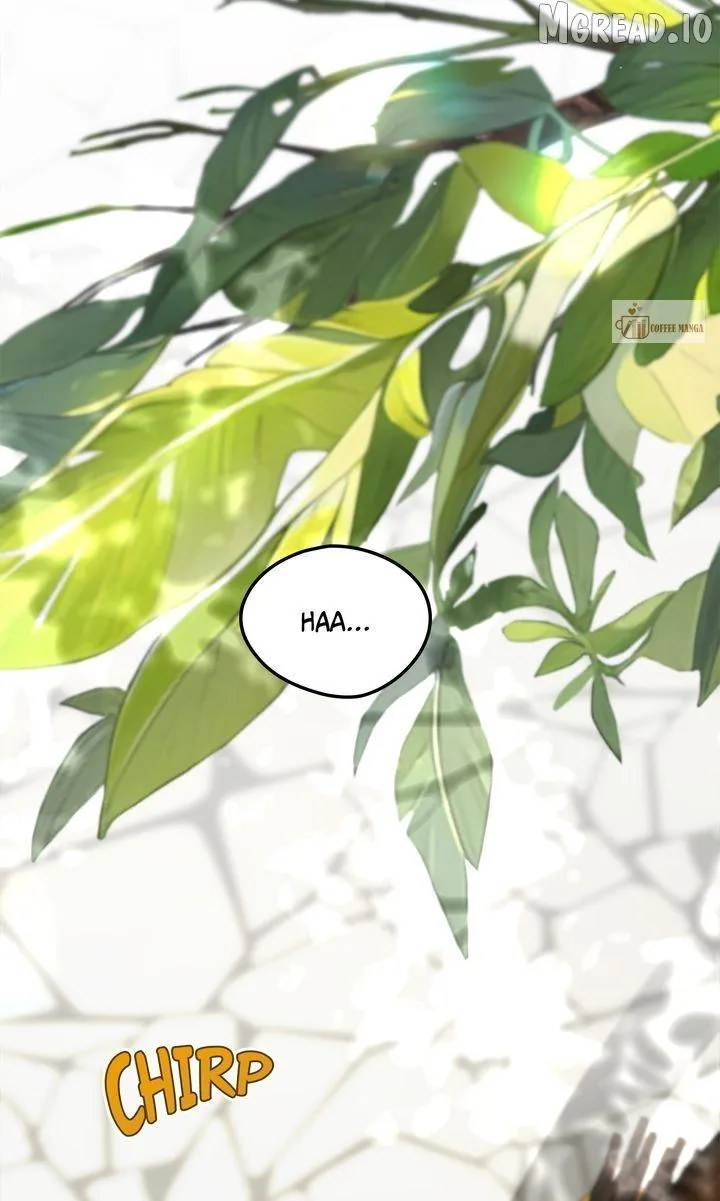 Dragondaily Chapter 88 page 84 - 