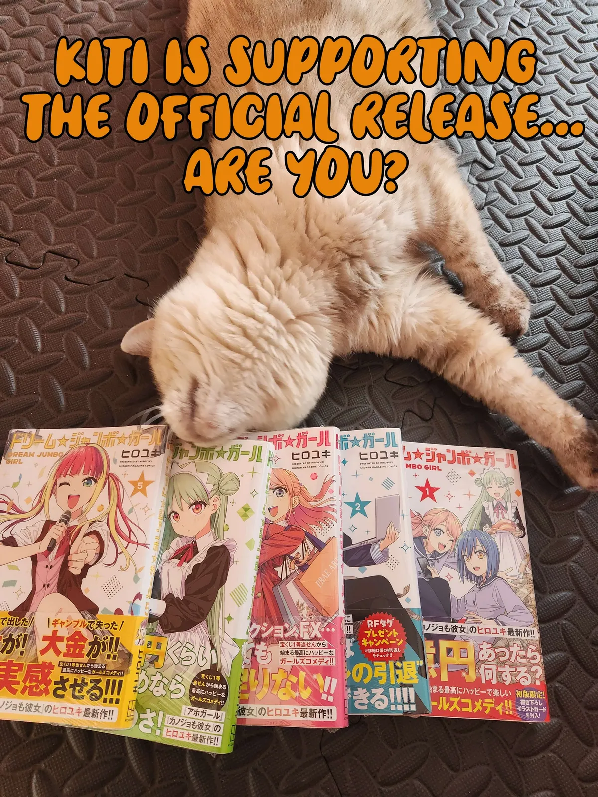 Dream☆Jumbo☆Girl Chapter 48 page 18 - 