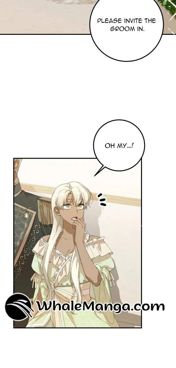Dropping Ranks To Get Married Chapter 27 page 17 - 