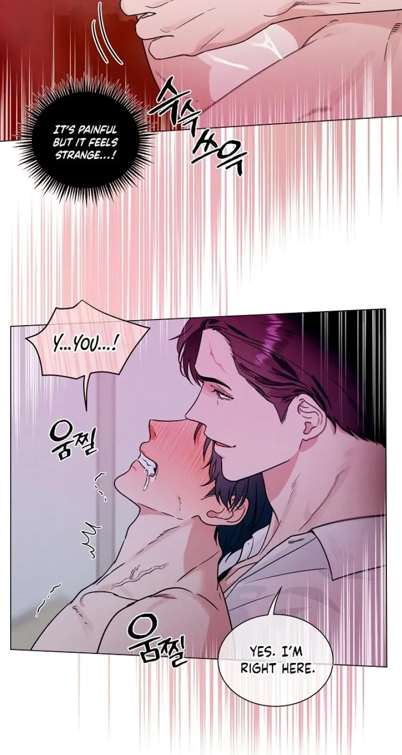 Dual Archer Chapter 16 page 31 - 