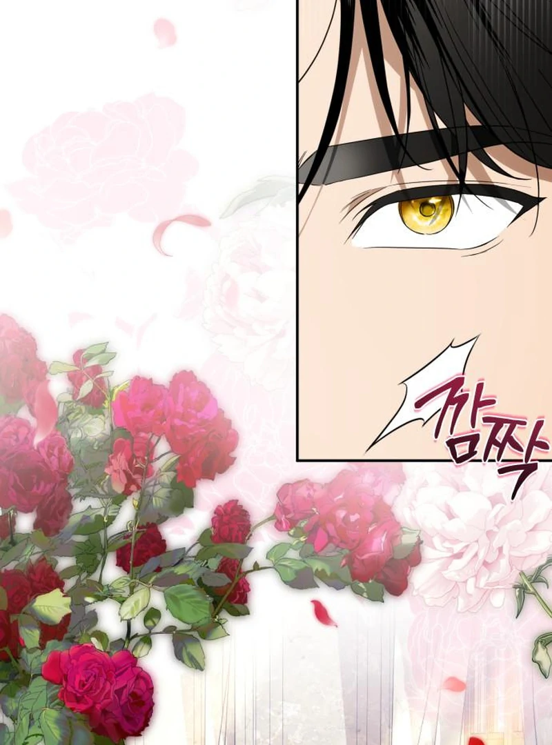 Duchess in Ruins Chapter 44 page 68 - 