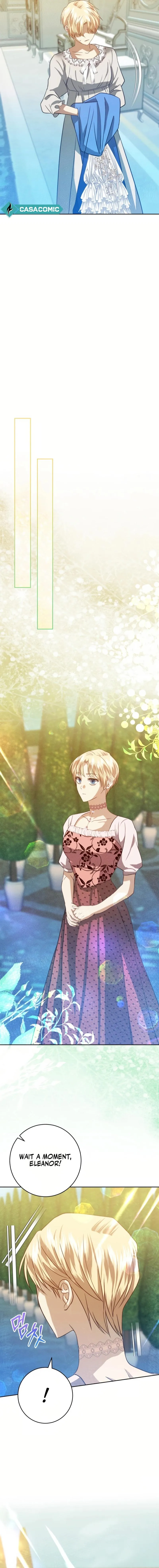 Duchess Mecklen