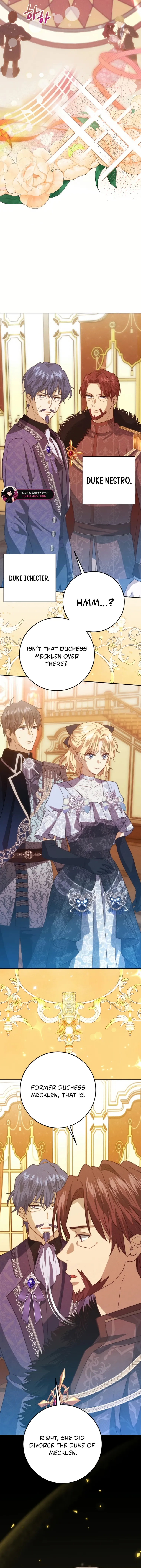 Duchess Mecklen