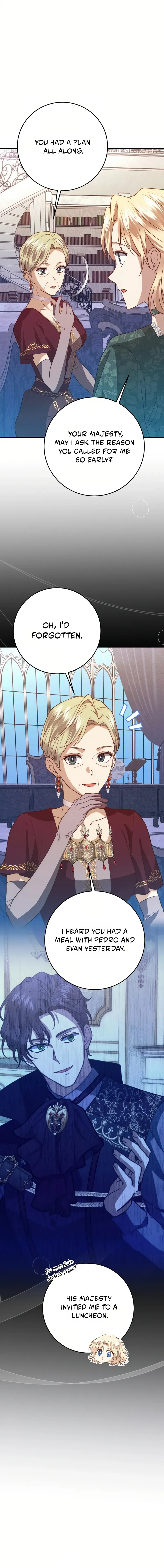 Duchess Mecklen
