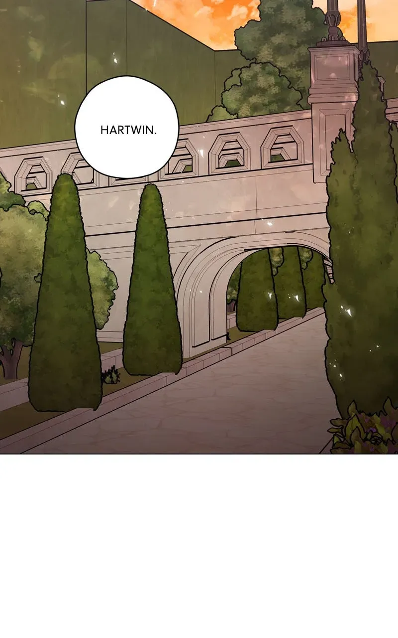 Duchess