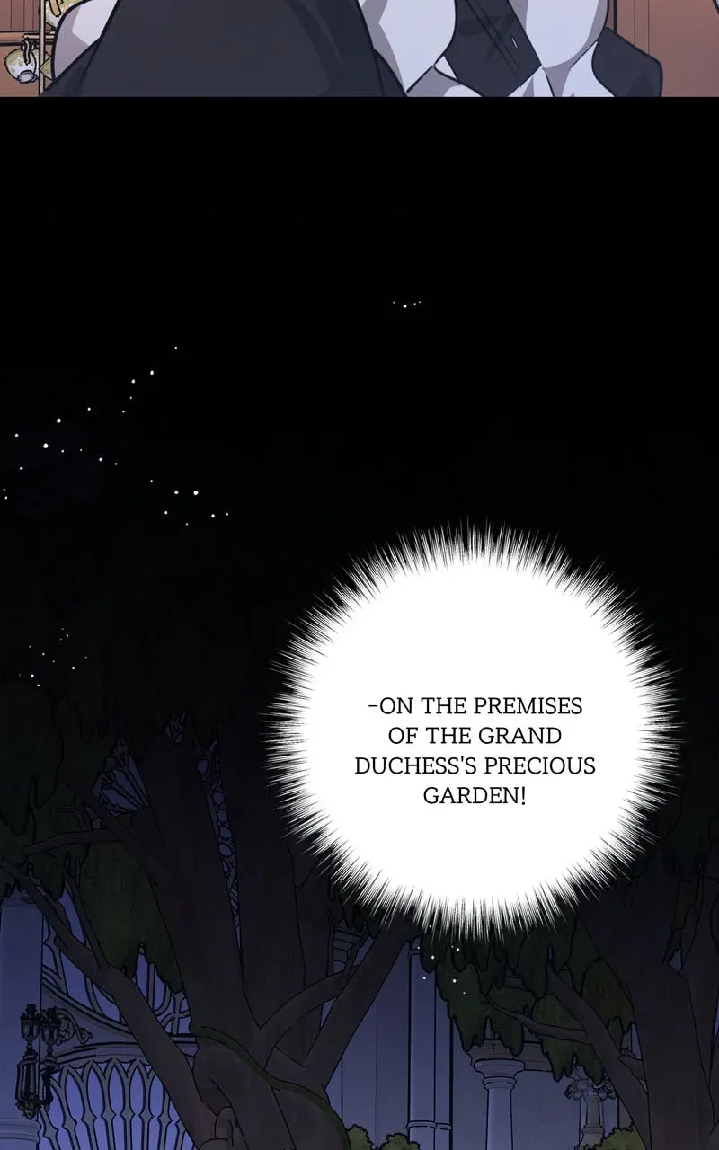 Duchess