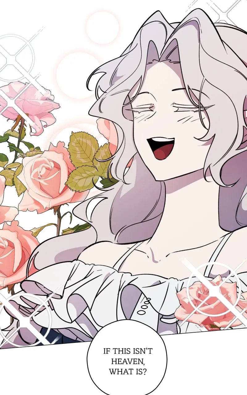 Duchess