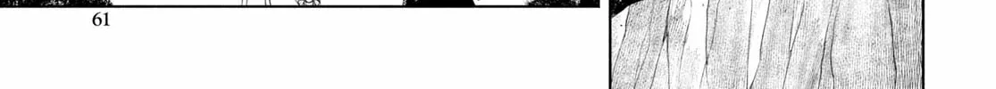 Dungeon Tou de Yadoya wo Yarou! Souzou Mahou wo Moratta Ore no Hosoude Hanjouki Chapter 38 page 27 - 