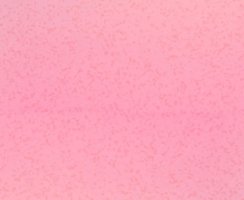Dyutipeuli Chapter 2 page 49 - 