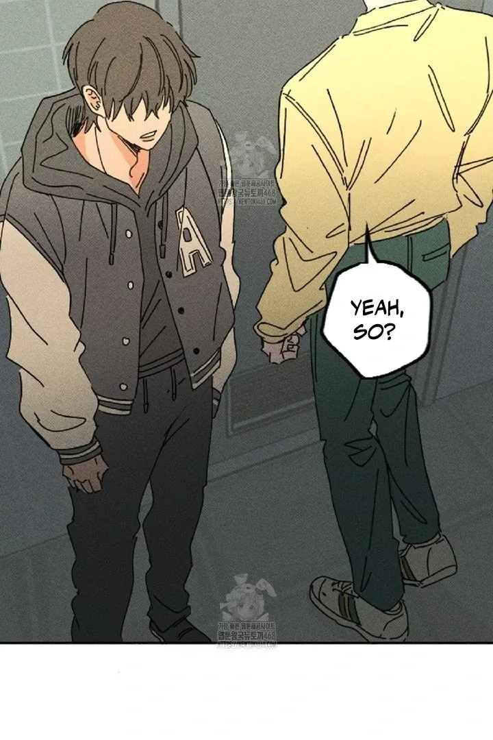 Easy Senior Chapter 2 page 29 - 