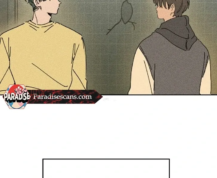 Easy Senior Chapter 2 page 38 - 