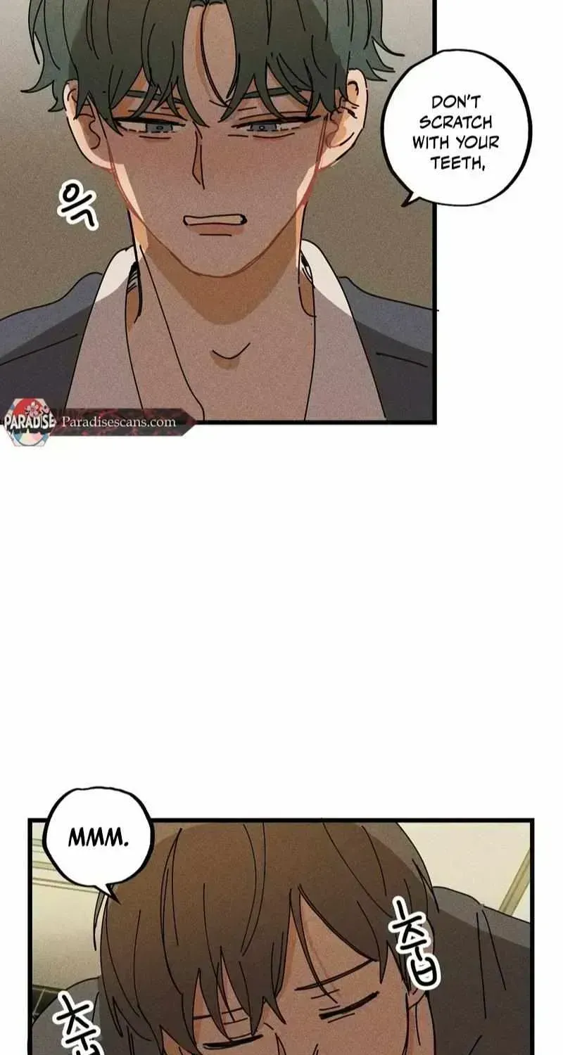 Easy Senior Chapter 23.6 page 46 - 