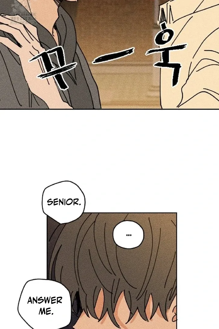 Easy Senior Chapter 3 page 15 - 