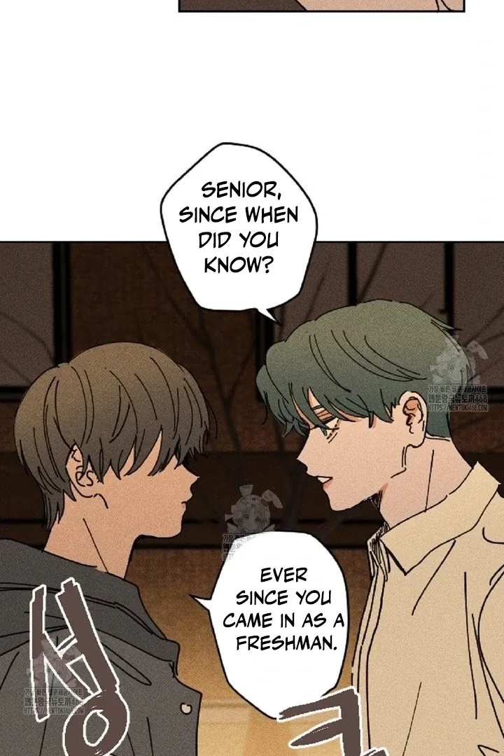 Easy Senior Chapter 3 page 31 - 
