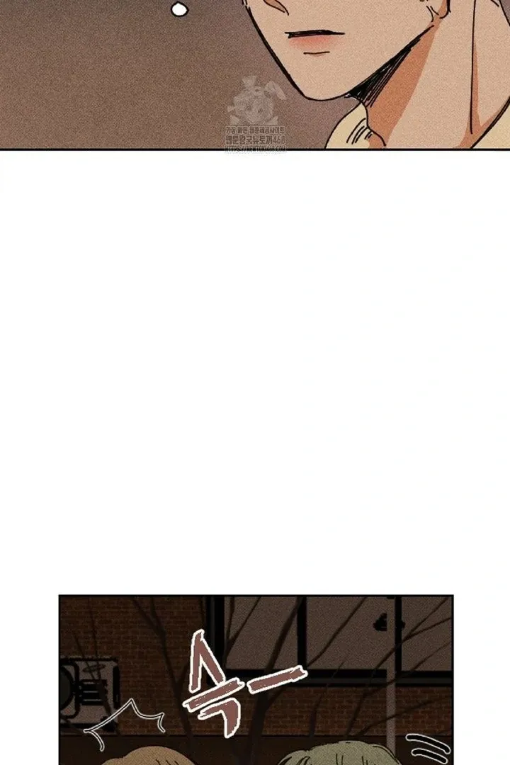 Easy Senior Chapter 3 page 41 - 