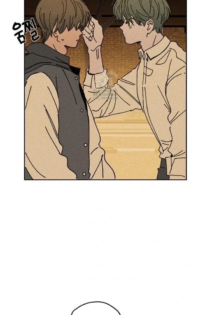 Easy Senior Chapter 3 page 42 - 