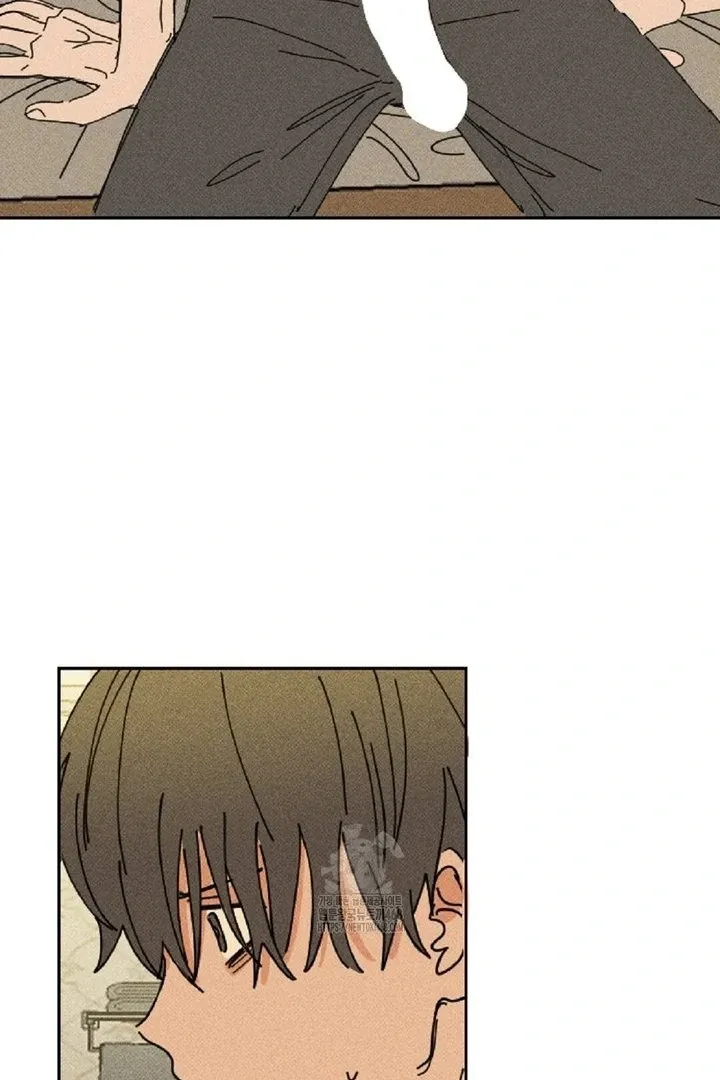Easy Senior Chapter 4 page 15 - 