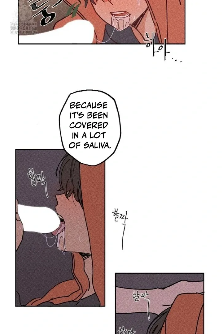 Easy Senior Chapter 4 page 47 - 