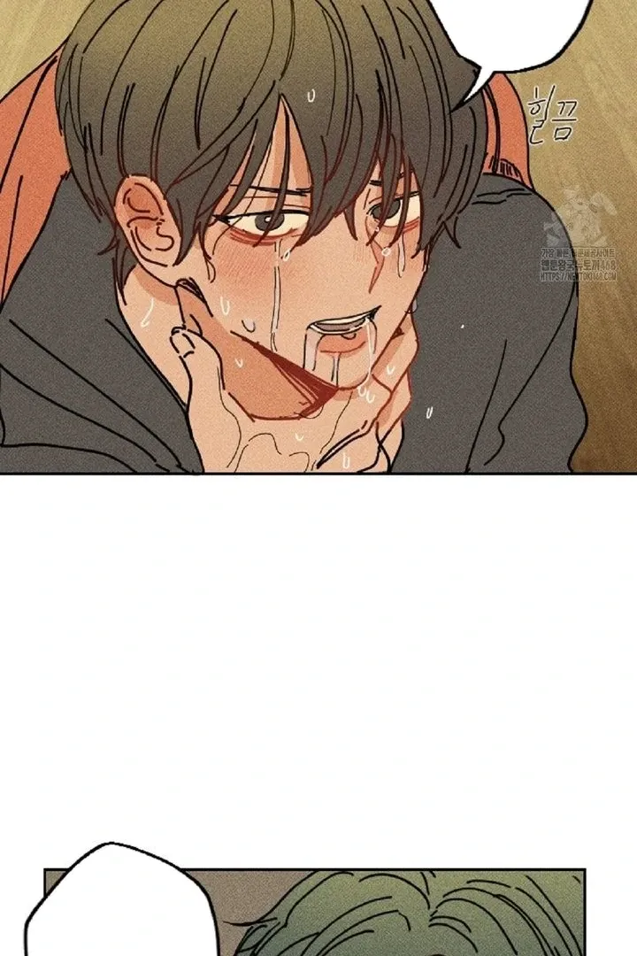 Easy Senior Chapter 4 page 66 - 