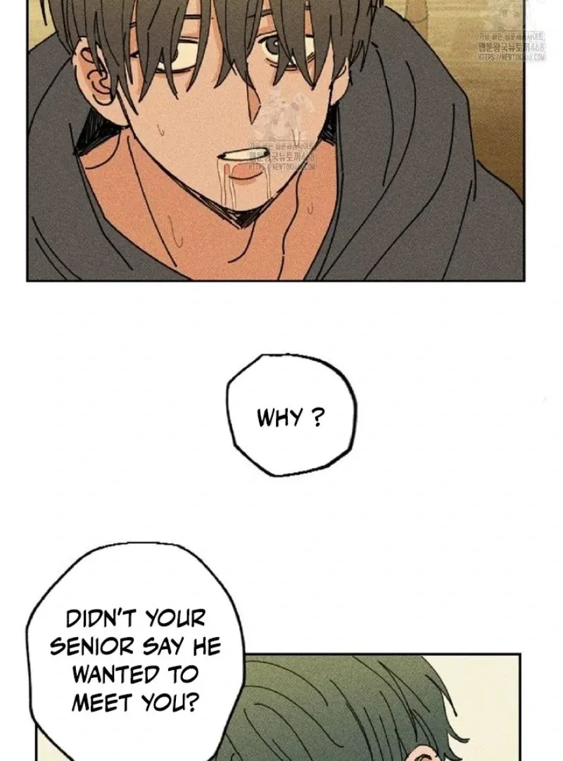Easy Senior Chapter 5 page 17 - 