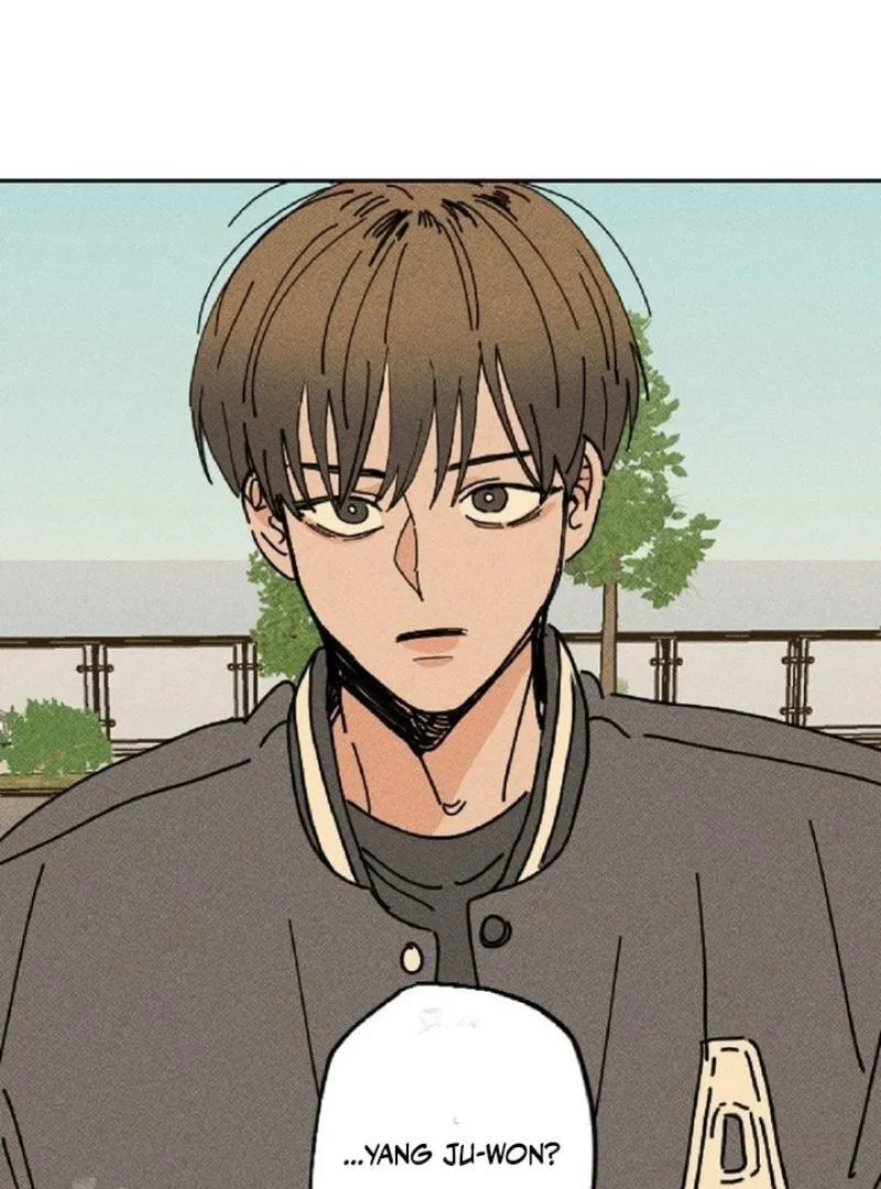 Easy Senior Chapter 5 page 48 - 