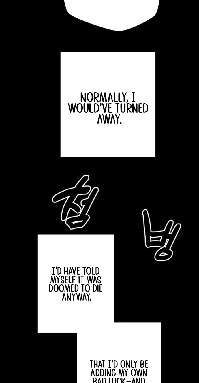 Eighty Million Martial Arts World Chapter 23 page 55 - 