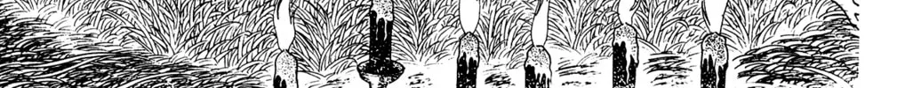 Eko Eko Azarak Chapter 28 page 2 - 