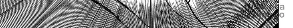 Eko Eko Azarak Chapter 4 page 10 - 