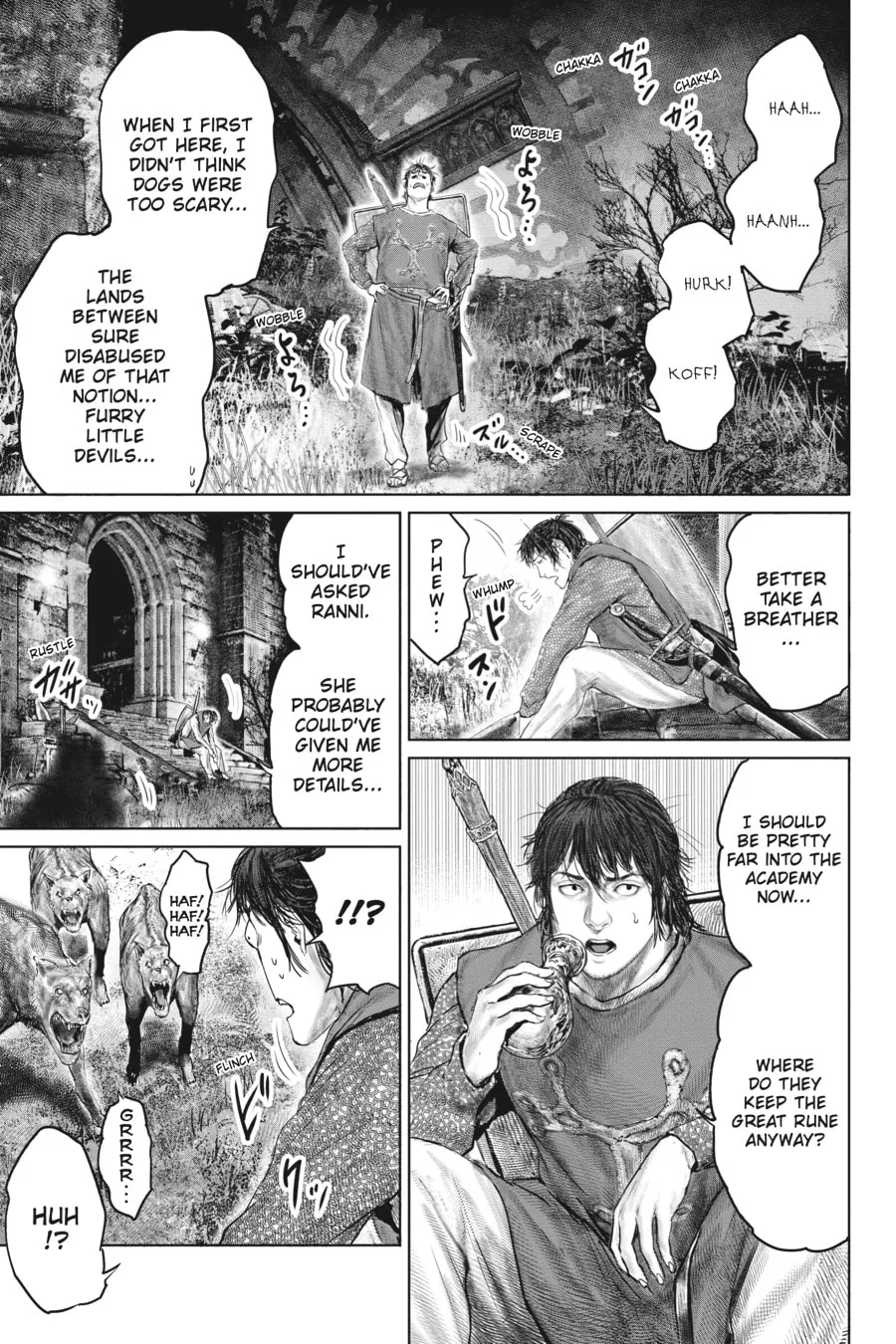 ELDEN RING: The Road to the Erdtree Chapter 23 page 17 - 