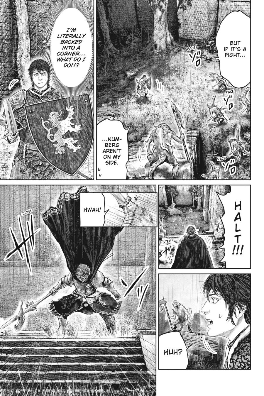 ELDEN RING: The Road to the Erdtree Chapter 32 page 17 - 
