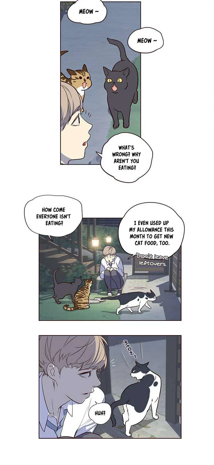 Eleceed Chapter 1.1 page 30 - 