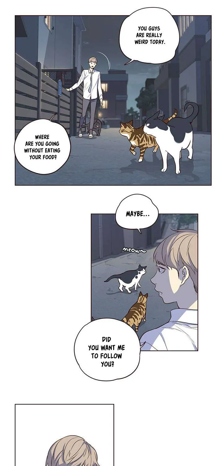 Eleceed Chapter 1.1 page 31 - 