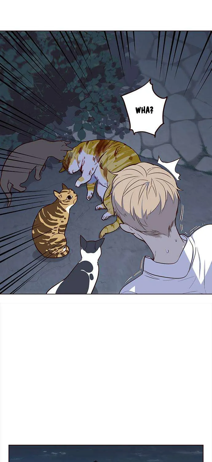 Eleceed Chapter 1.1 page 33 - 