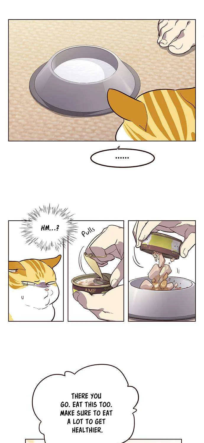 Eleceed Chapter 1.1 page 46 - 